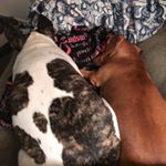 Profile Picture of Vikki wheeler (@vw_softball) on Instagram