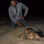 Profile Picture of Rossy (Brian Ross) (@stepoutsidemate) on Instagram
