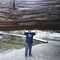 Profile Picture of Patrick Granger (@patrick.granger.980) on Facebook