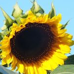 Monika Fischer - Instagram Profile Picture of Monika Fischer (@monika.fischer.90) on Instagram