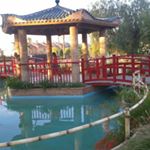 Profile Picture of Luz Maria Dubon (@dubonluzmaria) on Instagram