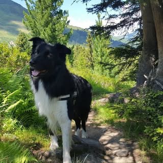 Profile Picture of Christopher Redlich (@redlichchristopher) on Instagram