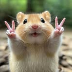 Profile Picture of Ai To (@ai.to.657991) on Facebook