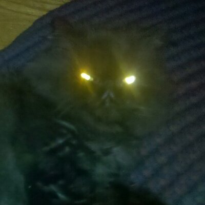 Profile Picture of Ian McEachern (@Ianmckraken) on Twitter