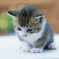 Profile Picture of Jimmy Ting (@jimmy-ting-13) on Quora