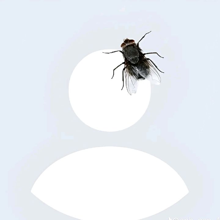 Profile Picture of trongvu (@trongvu2274) on Tiktok