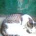 Profile Picture of Nicholas Cuevas (@nicholas.cuevas.71) on Facebook