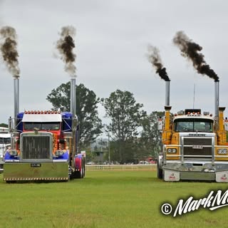 Profile Picture of Adam Neate (@neateadam) on Instagram