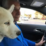 Profile Picture of Marc Sarnoff (@marc.sarnoff.3) on Facebook