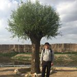 Profile Picture of Matthew Fung (@matthewhyfung) on Instagram