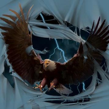 Profile Picture of Joshua Siebert (@NebelAdler) on Twitter