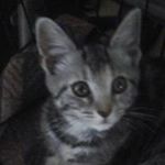 Profile Picture of MarTina (@kreft316) on Instagram