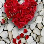 Profile Picture of Eric Sweesy (@eric.sweesy) on Instagram