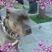 Profile Picture of Byron Sheldon (@byron.sheldon.397) on Facebook