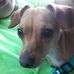 Profile Picture of Jimmy Dismuke (@jimmy.dismuke.73) on Facebook