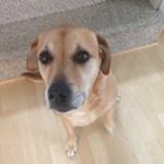 Profile Picture of Gary Cummings (@gradycummings) on Instagram