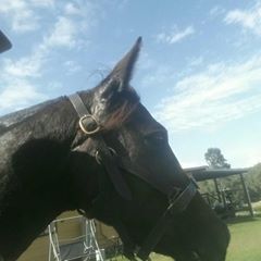 Profile Picture of Corey Kurtzer (@coreykurtzer) on Tiktok