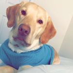 Profile Picture of Oakley Chip Blair (@oblair16) on Instagram