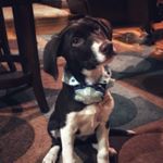 Profile Picture of Hazel (@hazel_dayz) on Instagram