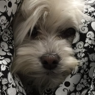 Profile Picture of Cassandra Richard (@Cassand85220866) on Twitter