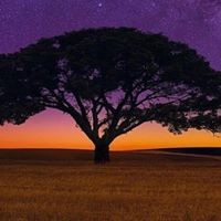 Profile Picture of John L. Speciale (@john-l-speciale) on Quora