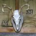 Profile Picture of Scott Shuman (@scott.shuman.77) on Facebook