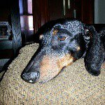 Profile Picture of James P. Wiener (@epicwiener) on Instagram