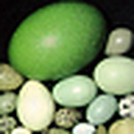 Profile Picture of M_e_haas (@m_e_haas) on Flickr