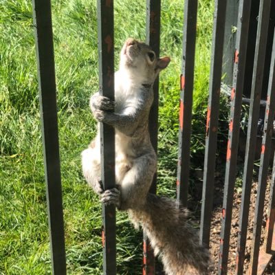 Profile Picture of Alice Jan (@Alicejane234) on Twitter