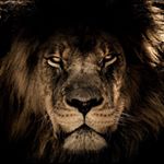 Profile Picture of Christian Kelly (@chupekel10) on Instagram