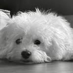 Profile Picture of Carol Milliner (@Carol-Milliner) on Facebook