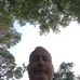 Profile Picture of Mark Mickey (@mark.mickey.585) on Facebook