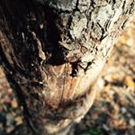 Profile Picture of Paige Alexandra Rathbun (@p.a.r_photography_art) on Instagram