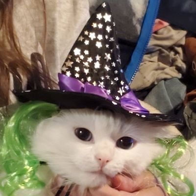 Profile Picture of Dave & Tracie Casto (@DaveCasto4) on Twitter