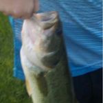 Profile Picture of Andrew 🎣🎣 (@drew_plumley) on Instagram