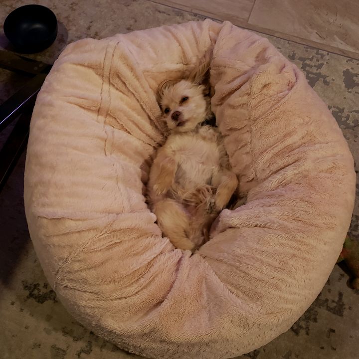 Profile Picture of Joey Forsythe (@@joeyforsythe1) on Tiktok