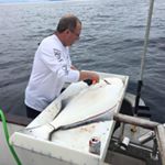 Profile Picture of Rick Shirrell (@rickshirrell) on Instagram