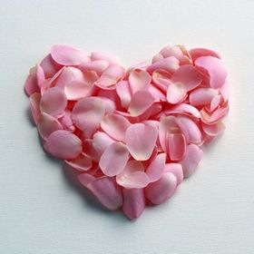 Profile Picture of Lori Mckeown (@lemckeown9) on Pinterest