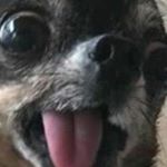Profile Picture of Richard Richard (@lenhardtrichard988) on Instagram