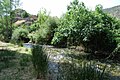 Profile Picture of Ebrón - Wikipedia, the free encyclopediaon Wikipedia