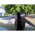 Profile Picture of Albert Abrams (@albert.abrams.31) on Facebook