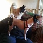 Profile Picture of Erlyn Hutton (@huttonerlyn) on Instagram