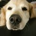 Profile Picture of Max Walker (@ramsey07) on Pinterest