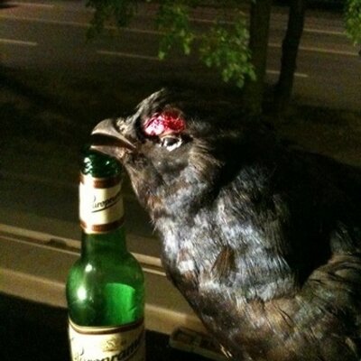 Profile Picture of Thomas Larsson (@Oulfougel) on Twitter