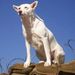 Profile Picture of Brian Lackman (@brianlackman) on Pinterest