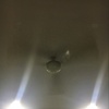 Profile Picture of Amrish shah (@@amrishshah) on Tiktok