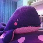Profile Picture of Whaley (@whale.toy) on Instagram