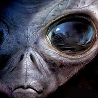 Profile Picture of Patrick Fenlon (@patrick-fenlon) on Quora