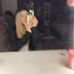 Profile Picture of Gina Reppert (@gina.reppert.77) on Facebook