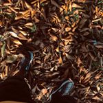 Profile Picture of Joel Gordon (@_j.oe.l) on Instagram